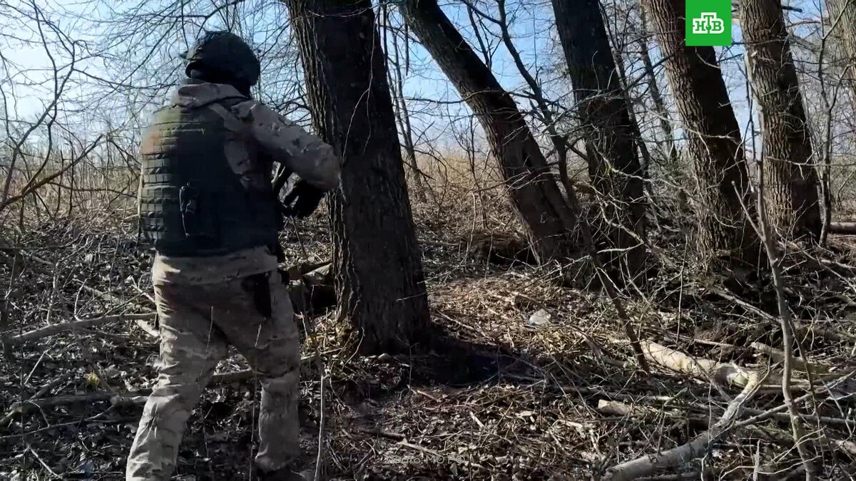    Минобороны РФ показало новое видео с брошенными под Курском убитыми бойцами ВСУ