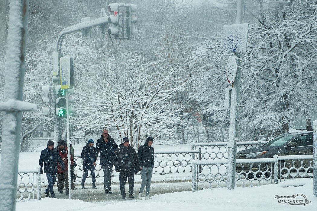    Фото Лидия Аникина © ИА «Уральский меридиан»