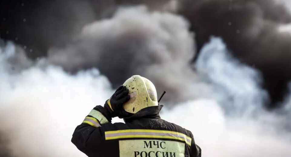    РИА «Новости»