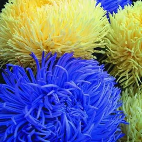 Марш Авиаторов