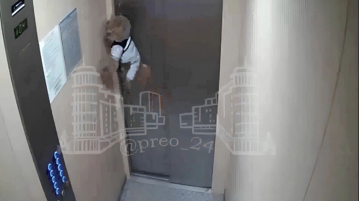     Источник: t.me/preo_24