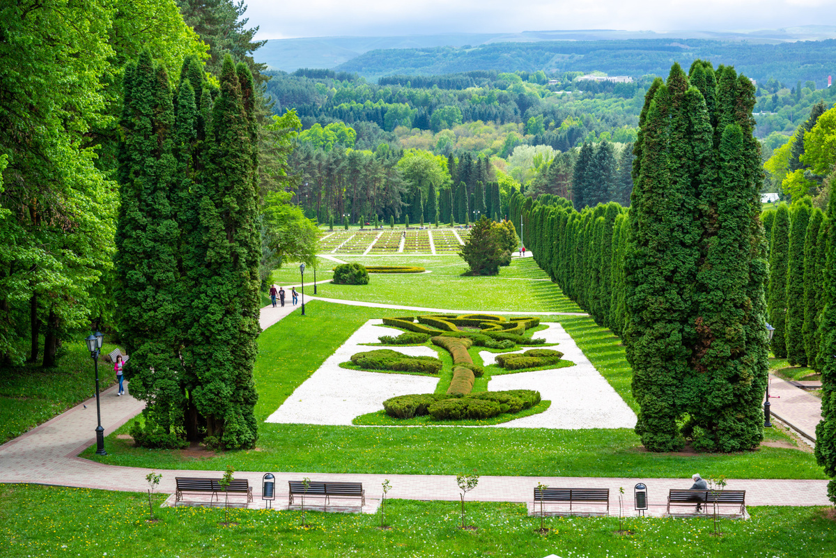 Истовник https://www.drive2.ru/