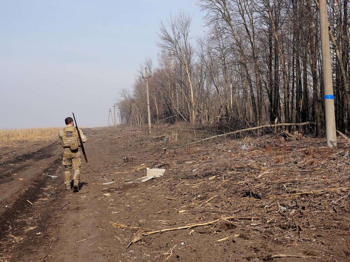    Позиции в лесополосе в окрестностях Казачьей Локни ВСУ бросали в спешке© РИА Новости / Мария Марикян