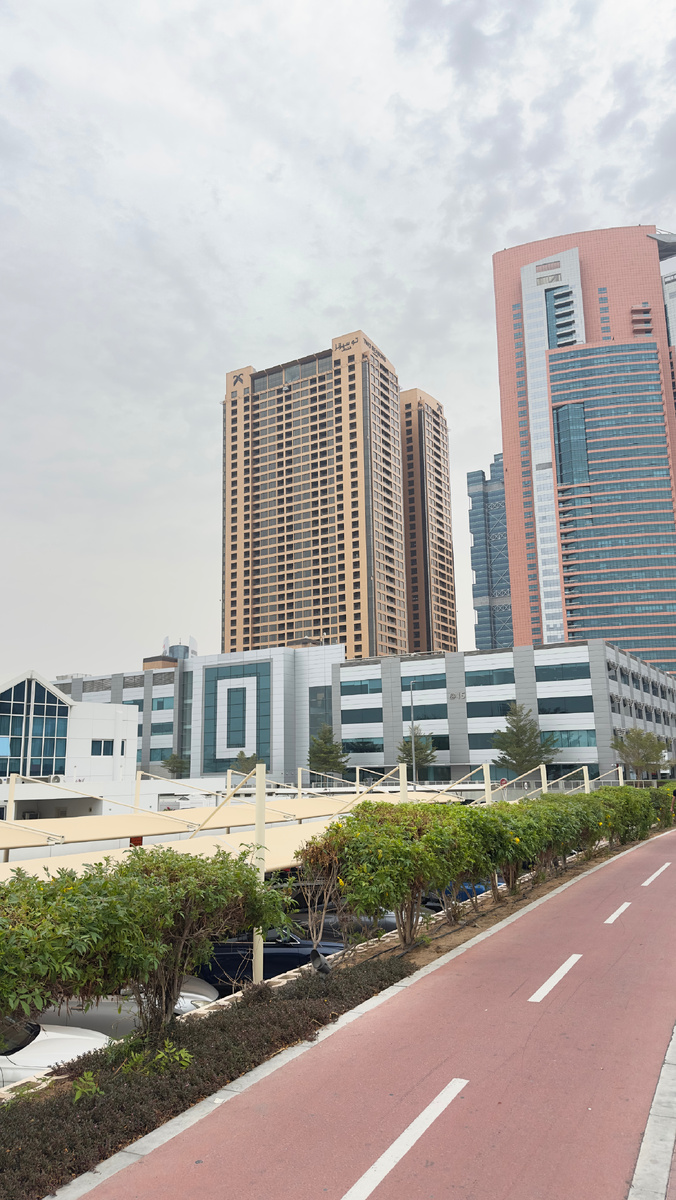 две коричневые башни-близнецы