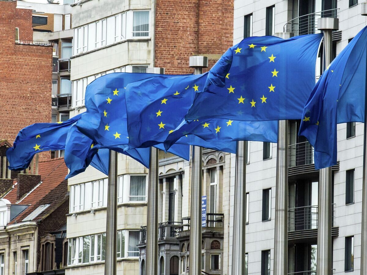    Флаги Евросоюза© AP Photo / Geert Vanden Wijngaert