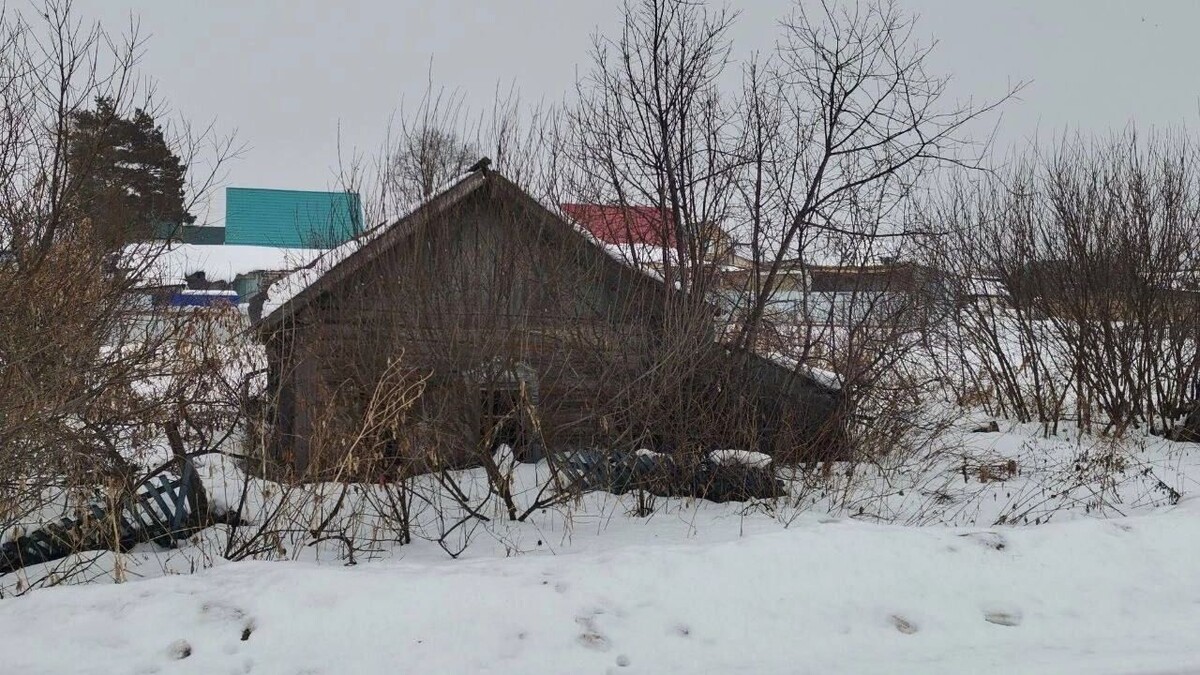     Источник: Информационный центр Правительства Тюменской области