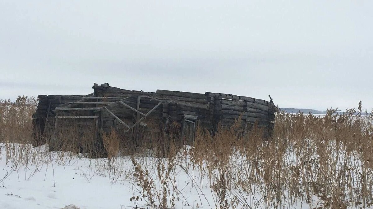     Источник: Информационный центр Правительства Тюменской области