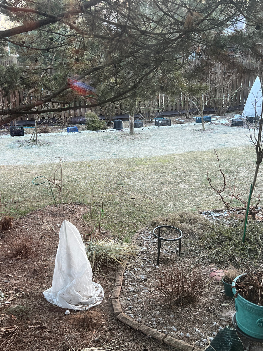 Как интересно оттаивает газон, а потом еще недели две был с такой полосой