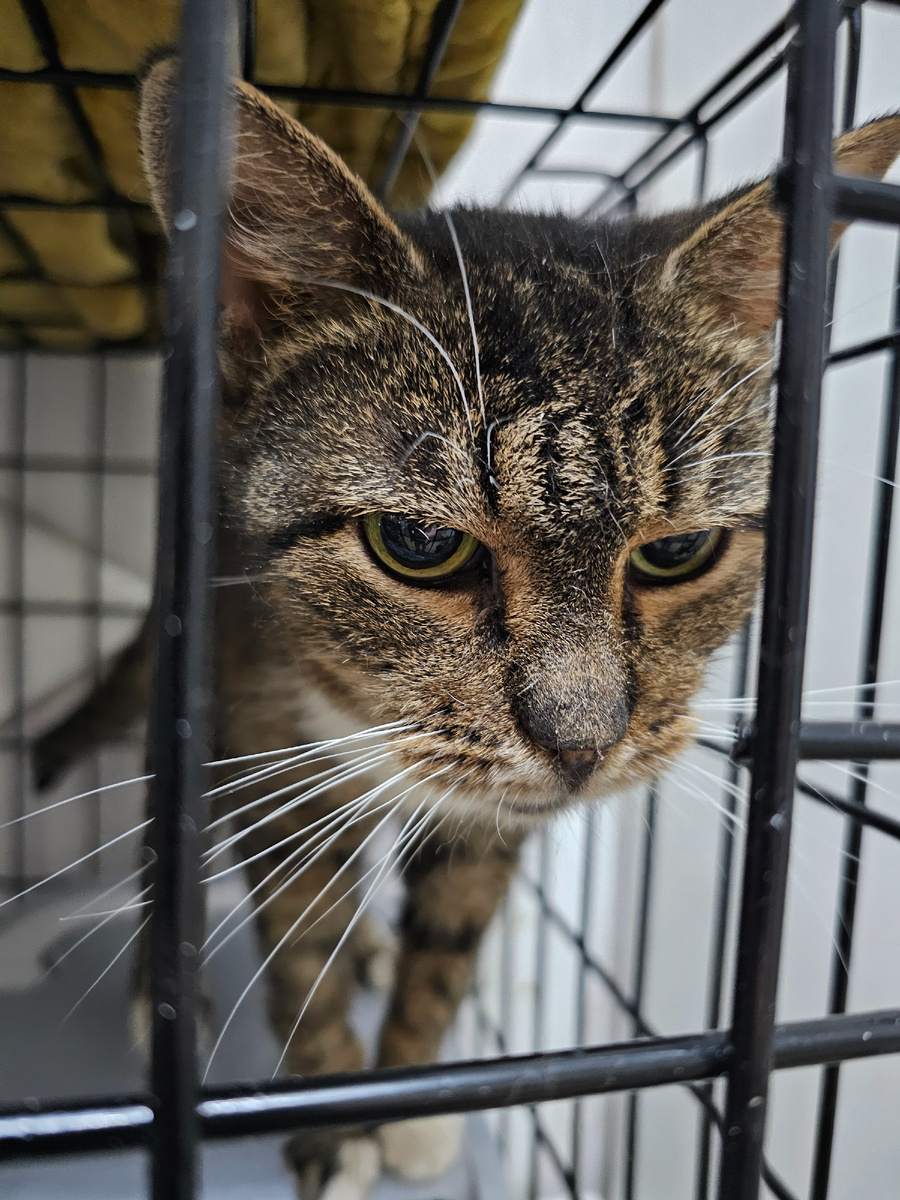 Фото автора. Маргоша.