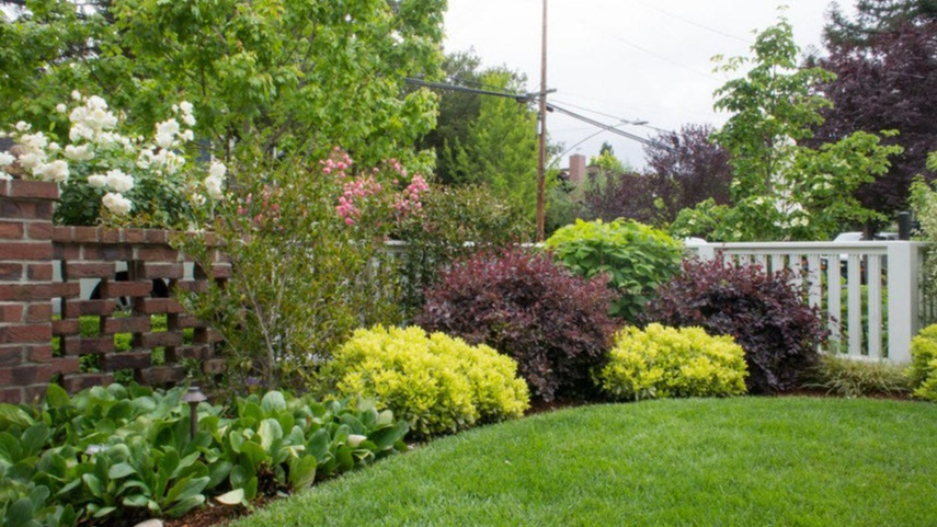 Результат грамотного размещения декоративных кустарников - каскадное цветение с апреля по сентябрь