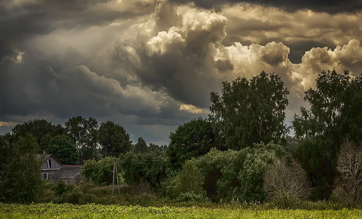 Яндекс картинки