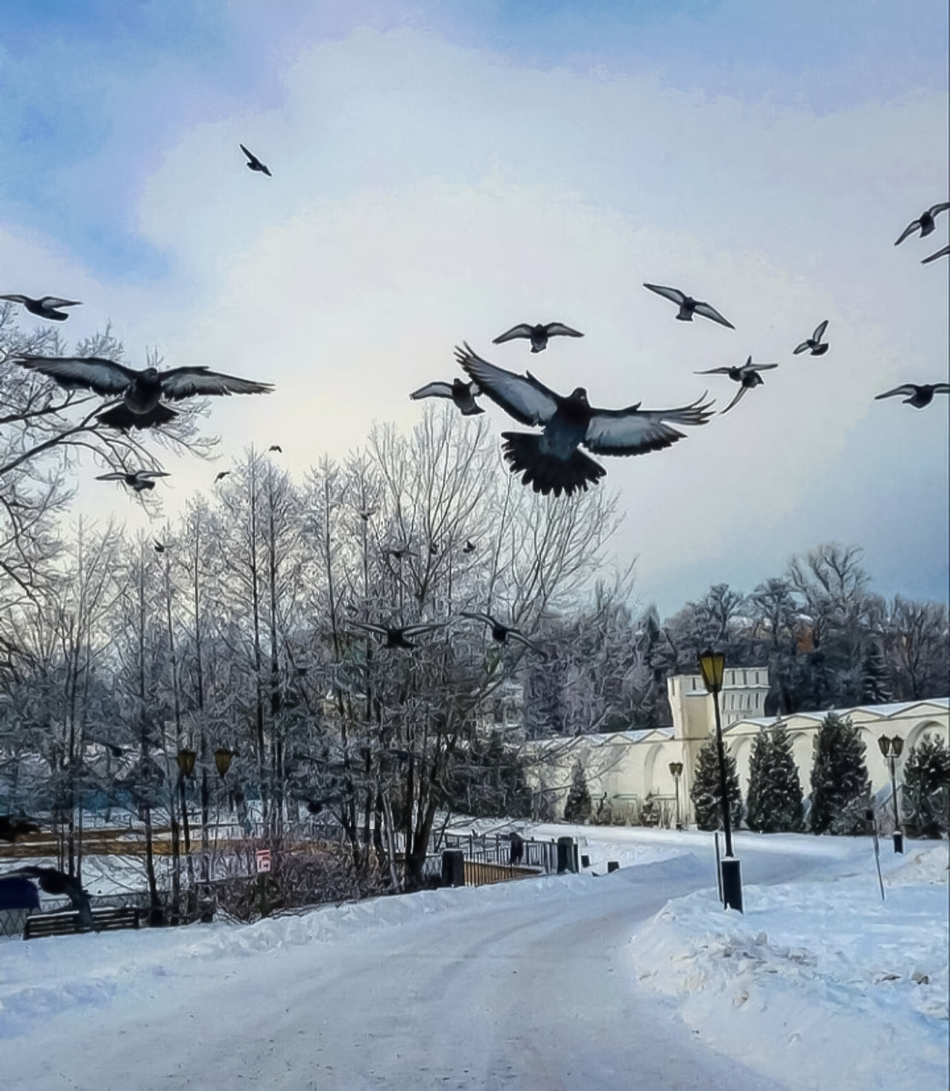 фото автора