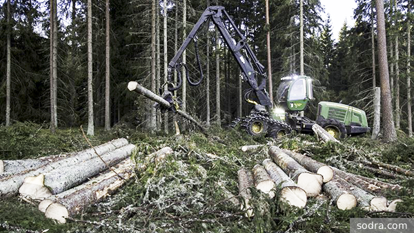     Фото: sodra.com   
 Текст: Никита Демьянов