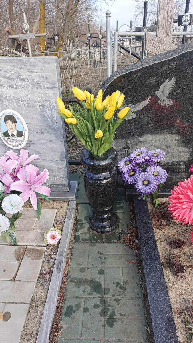 Принесли папе тюльпаны