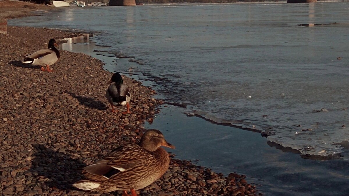     Источник: prmira.ru