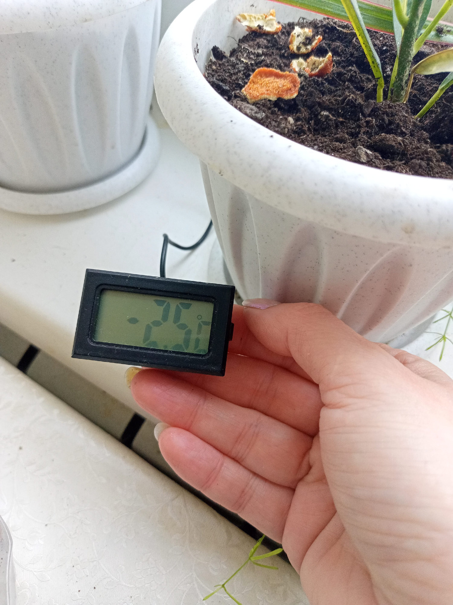 Это сейчас, а вечером мороз обещают.