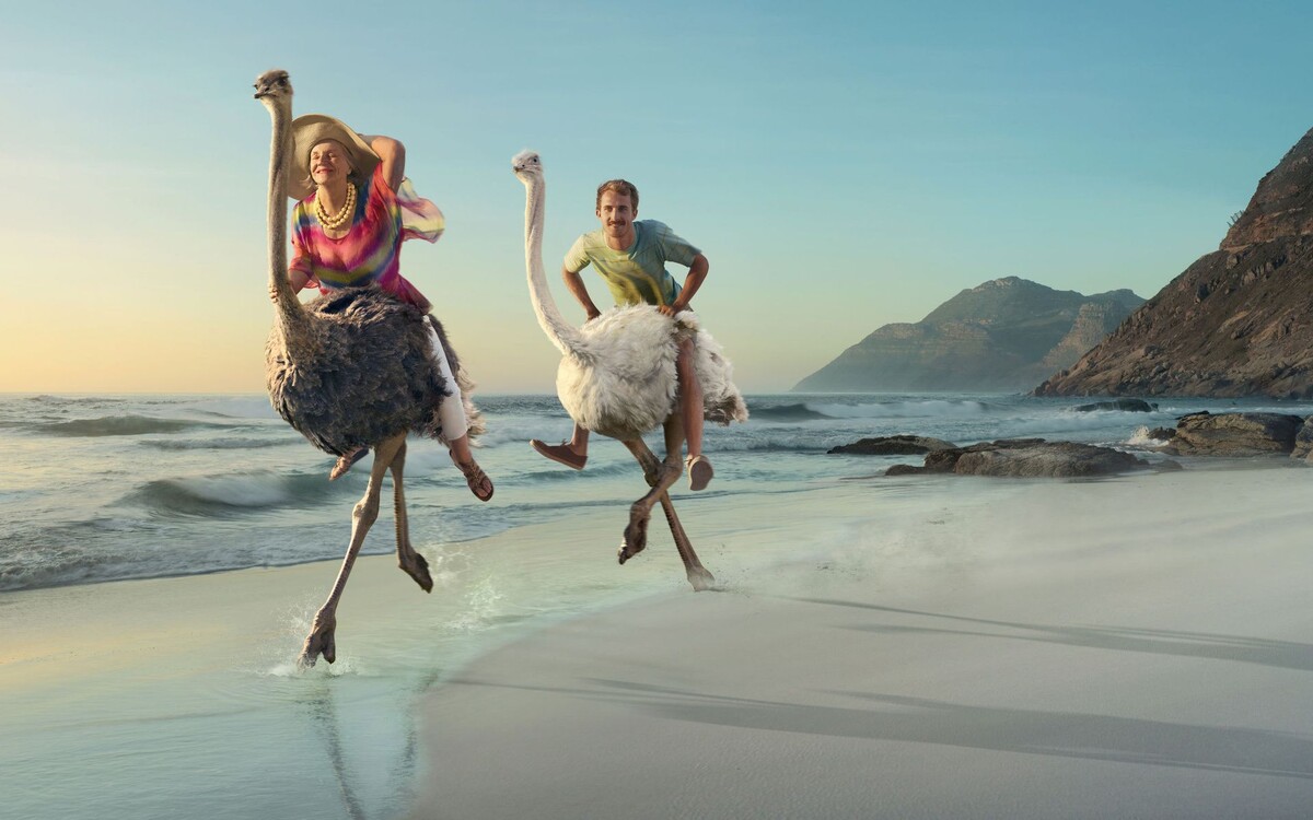 День спонтанности