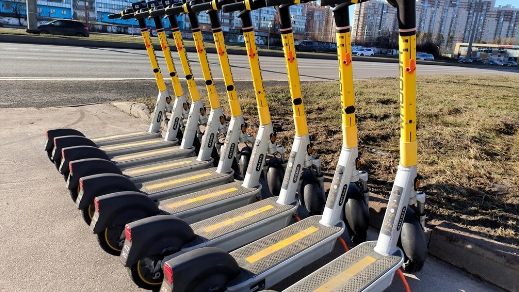    Фото: Maksim Konstantinov/Globallookpress