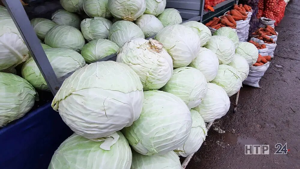    В Нижнекамске весенние сельхозярмарки пройдут на двух рынках - «Бызовском» и «Комета» // Фото из архива телеканала НТР 24