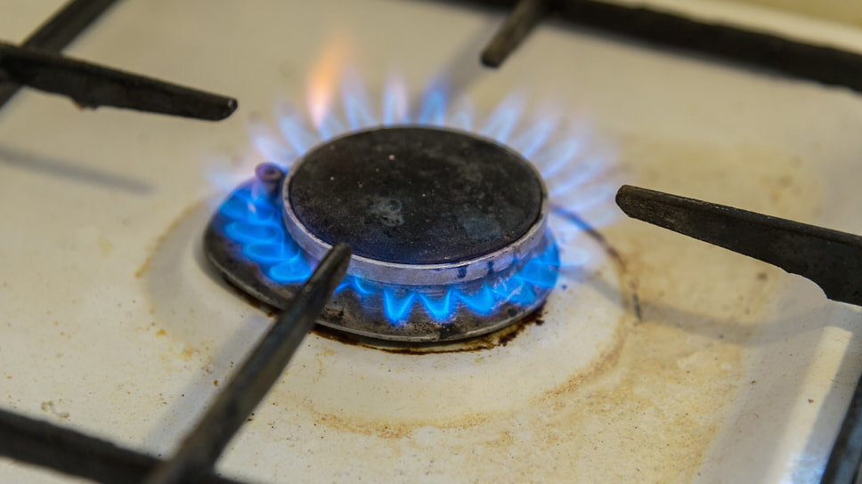 Фото: Игорь Елисеев / Коммерсантъ