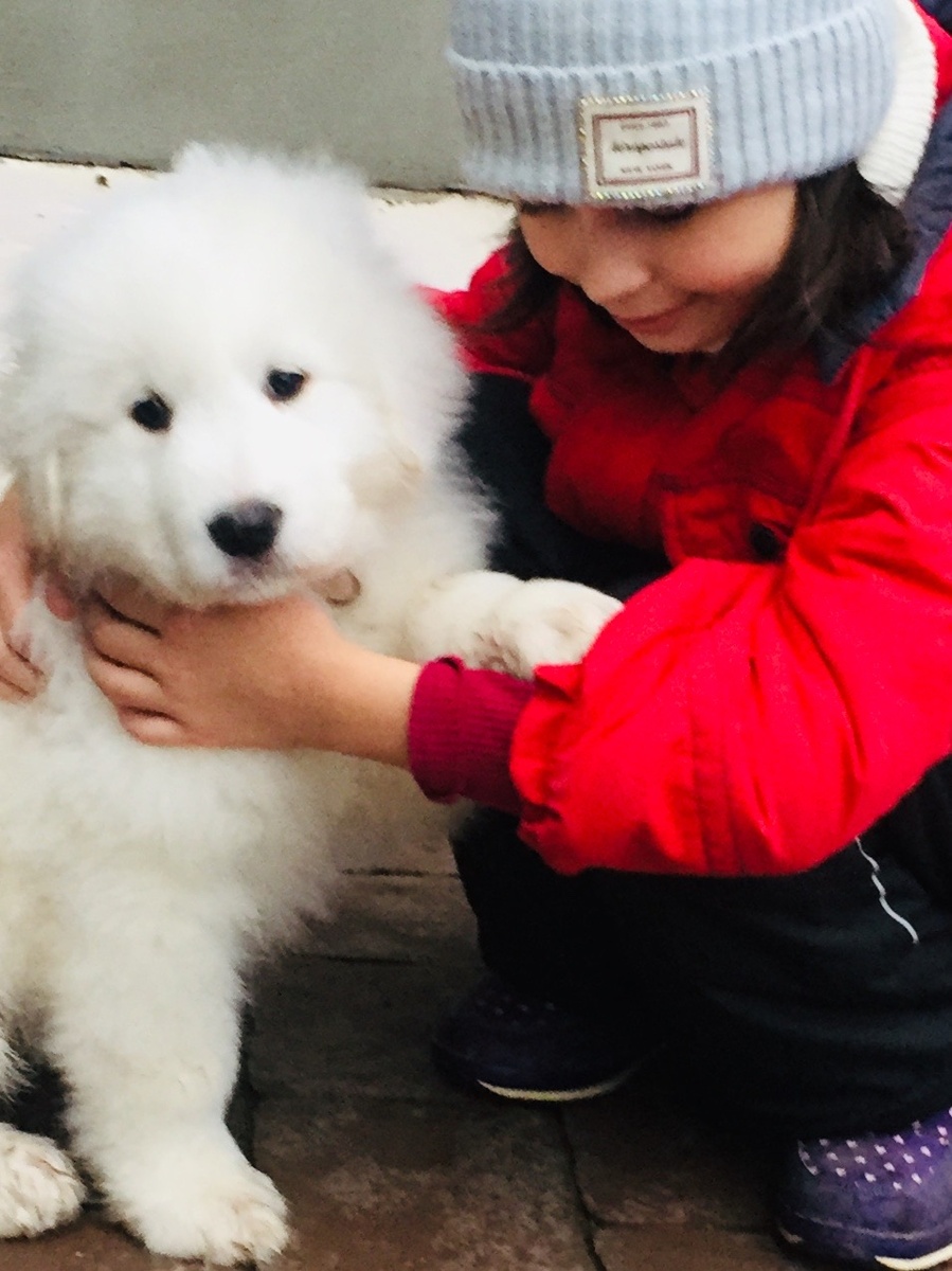 СВЕТ ПОСАДА АСТРИД 