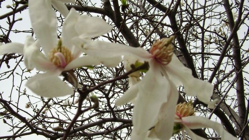     Источник: vostokmedia.com