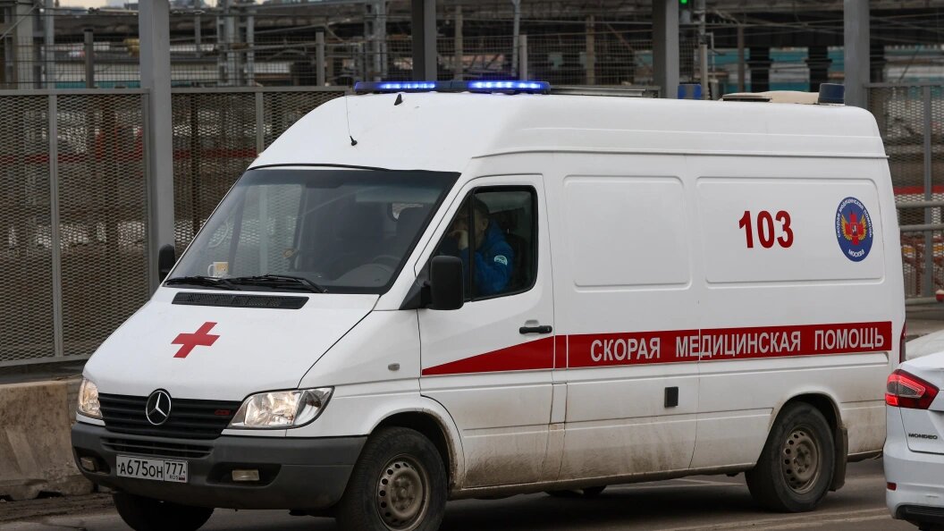    Belkin Alexey/Globallookpress