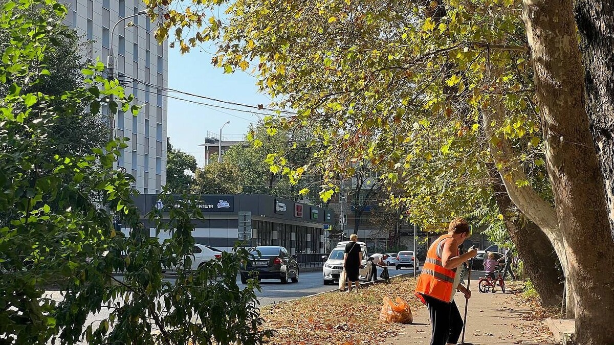    Фото: телеканал «Краснодар»