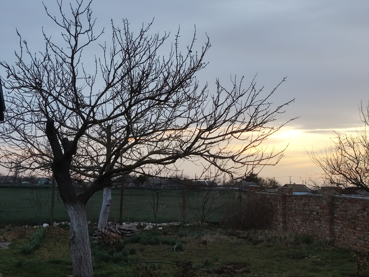 Успела до заката