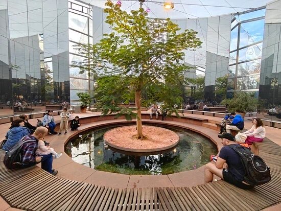    Фото: Юрий Серебренников/BFM Кубань