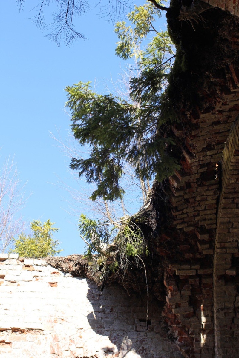 Хотошино, март 2025, фото Марина Ревва