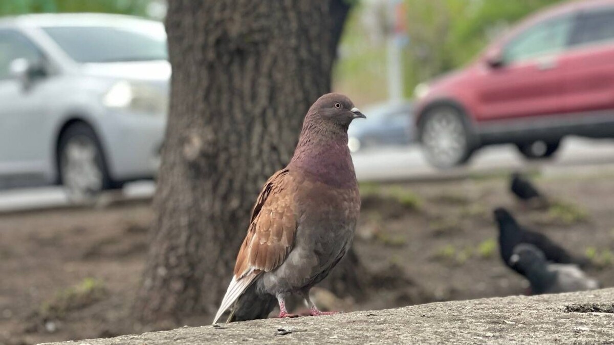     Источник: vostokmedia.com