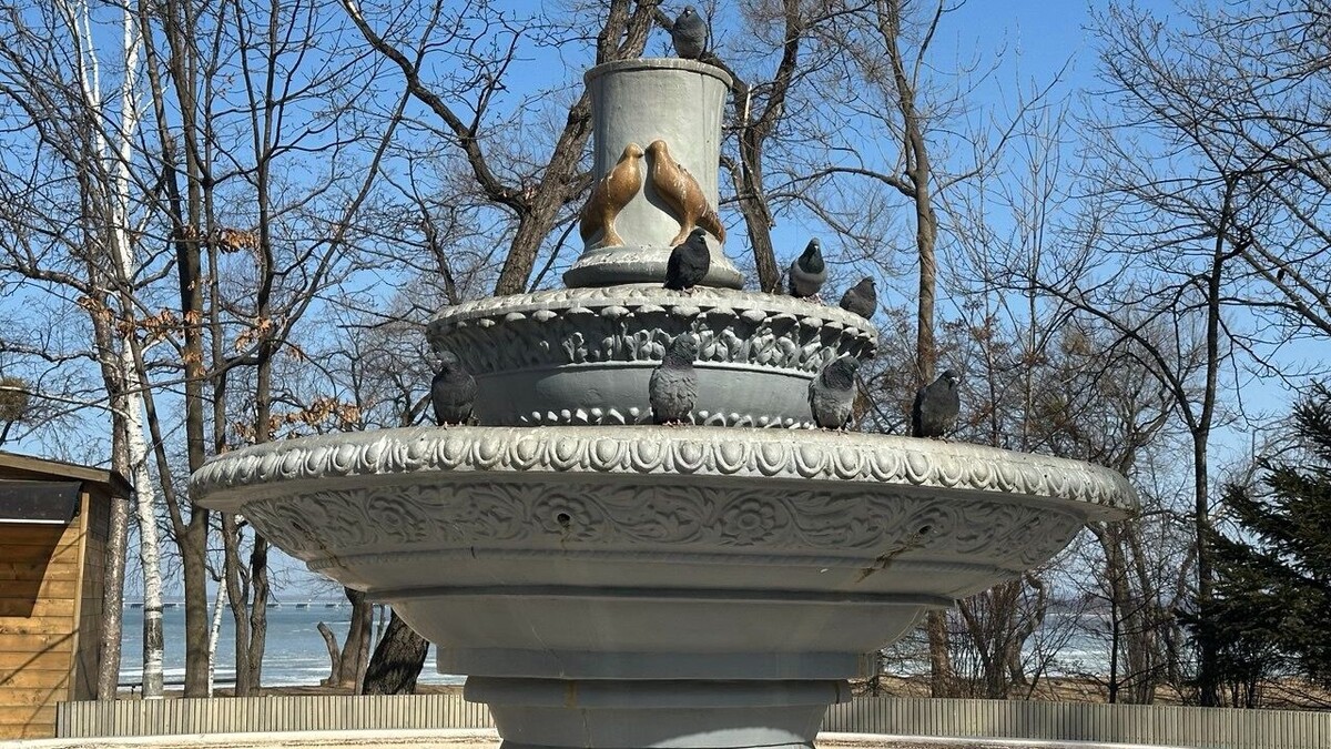     Источник: vostokmedia.com