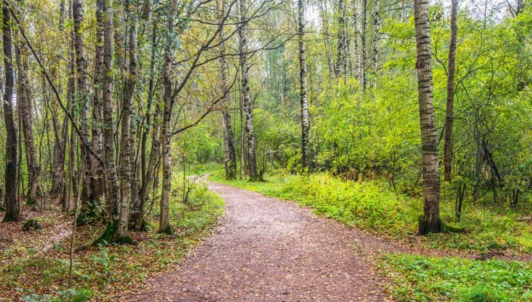 Источник новости: https://nia.eco/2025/03/14/99378/