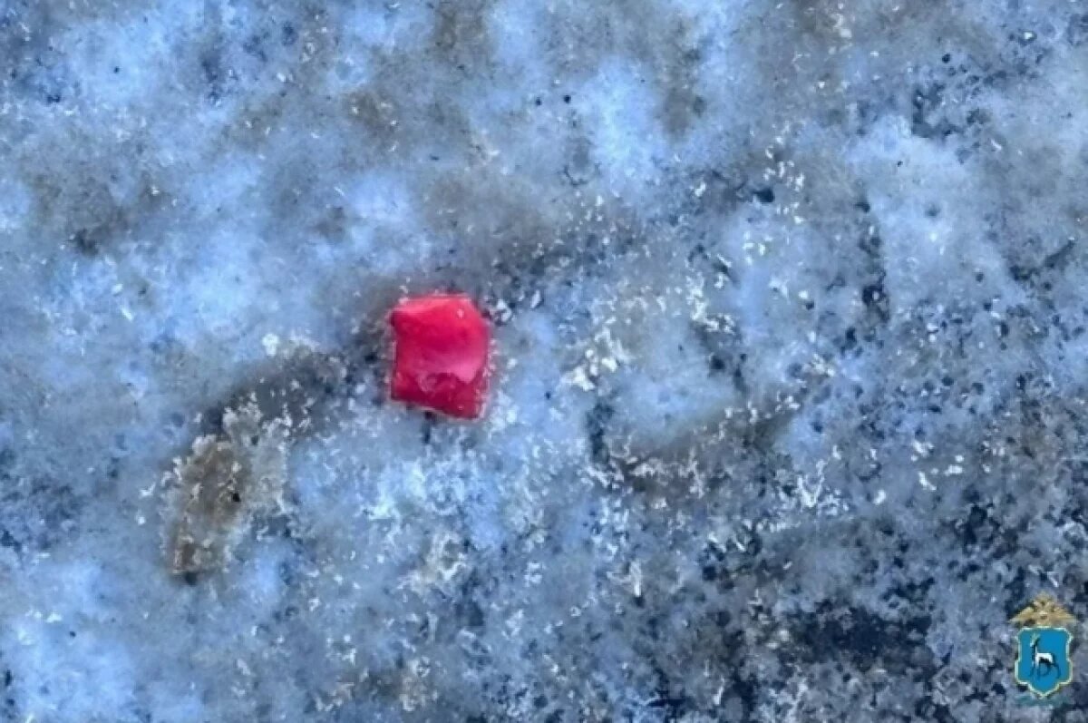    В Отрадном задержали мужчину по подозрению в незаконном хранении наркотиков