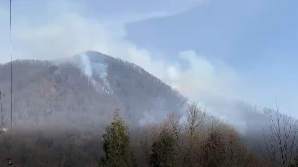 Фото: Скриншот видео пресс-службы администрации Сочи