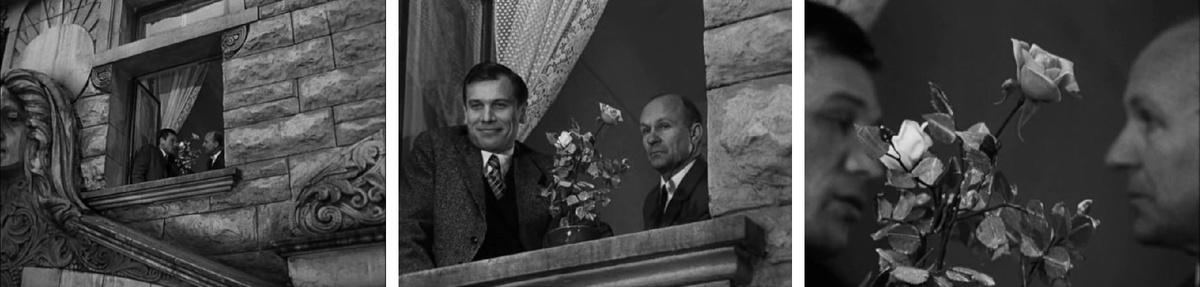 Цветок в окне дома на Цветочной улице, 9 в телефильме «17 мгновений весны». Явка провалена, но профессор Плейшнер обратил на это внимание слишком поздно.