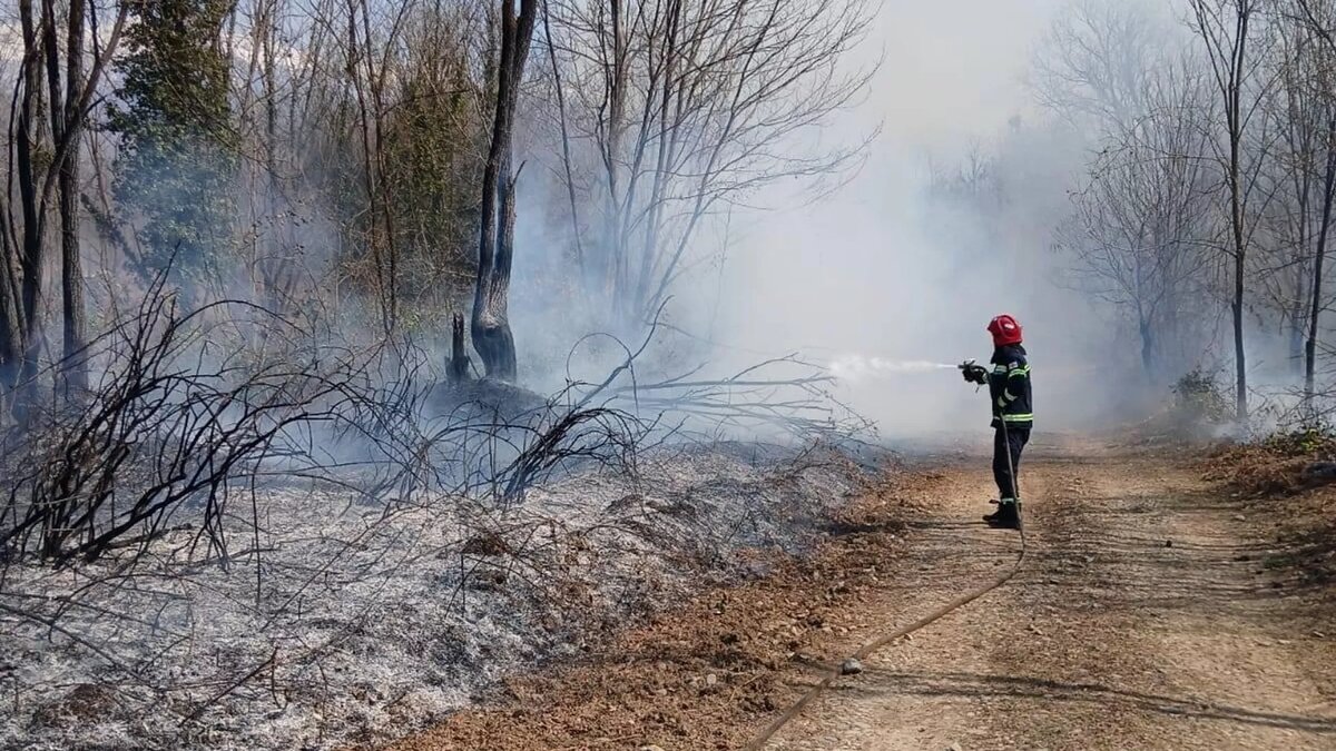 © City Hall of Tsalenjikha Municipality