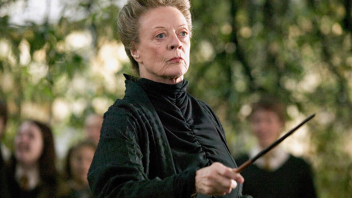 Радужные ценности, вы не пройдете. Кадр из франшизы "Гарри Поттер" 