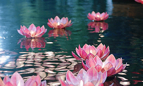 " Собираю хорошее "  .Строчки - настрои