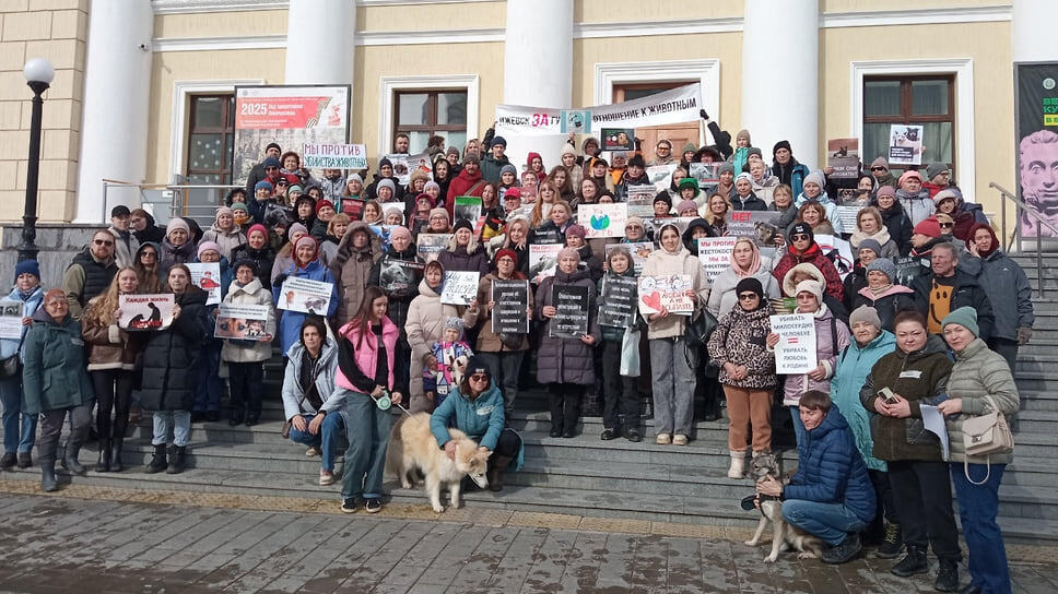 Фото: реготделение «Альянса защитников животных», «ВКонтакте»