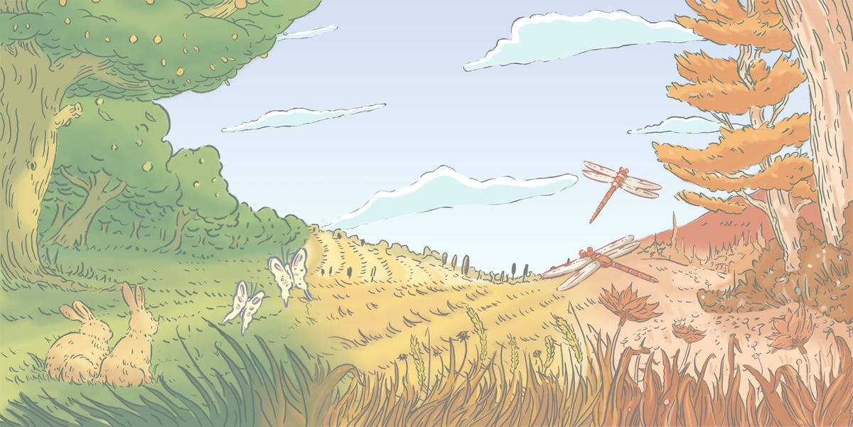 Зайцы молча ждут, пока тут начнет расти лес.