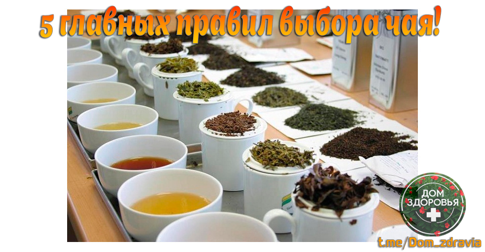 5 главных правил выбора чая!