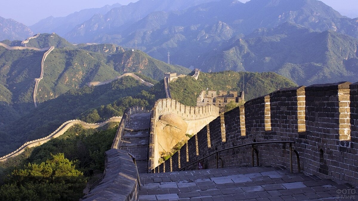 фото из интернета