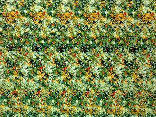 А что видите вы на этой картинке?