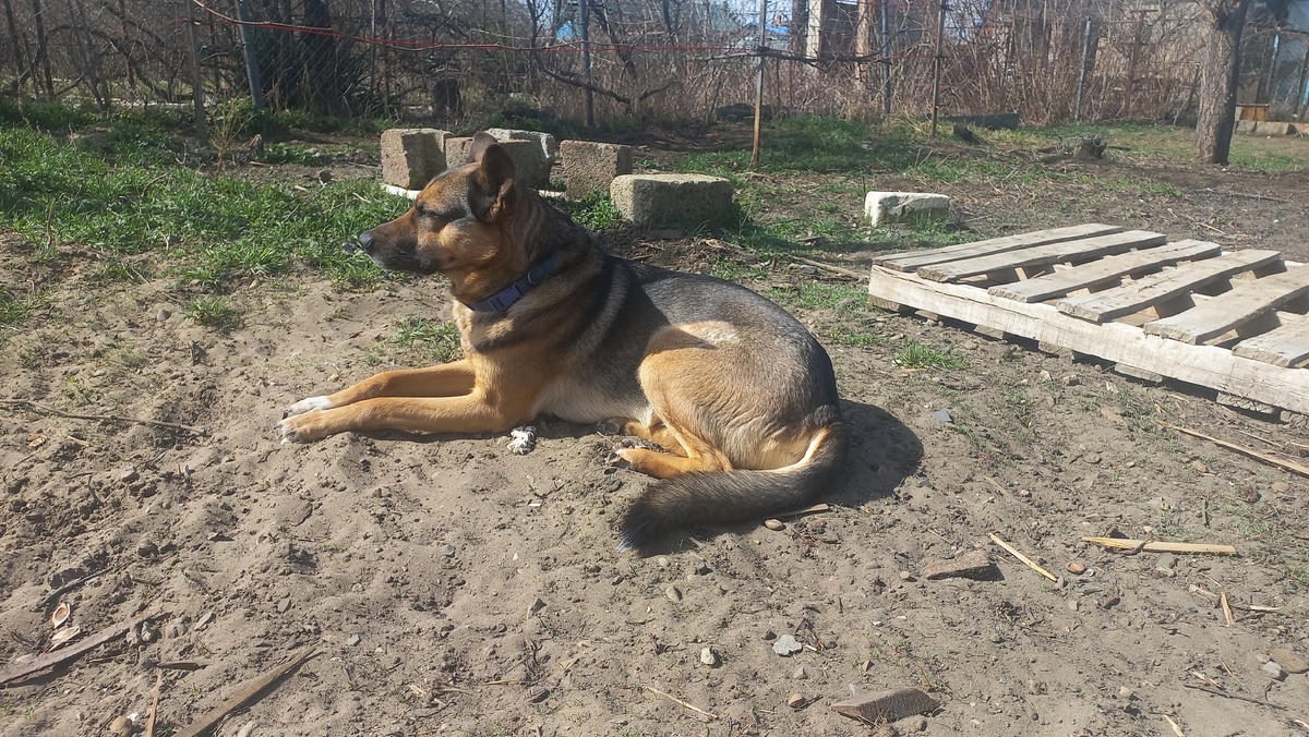 Это и другие фото в статье сделаны автором и принадлежат ему на условиях авторского права