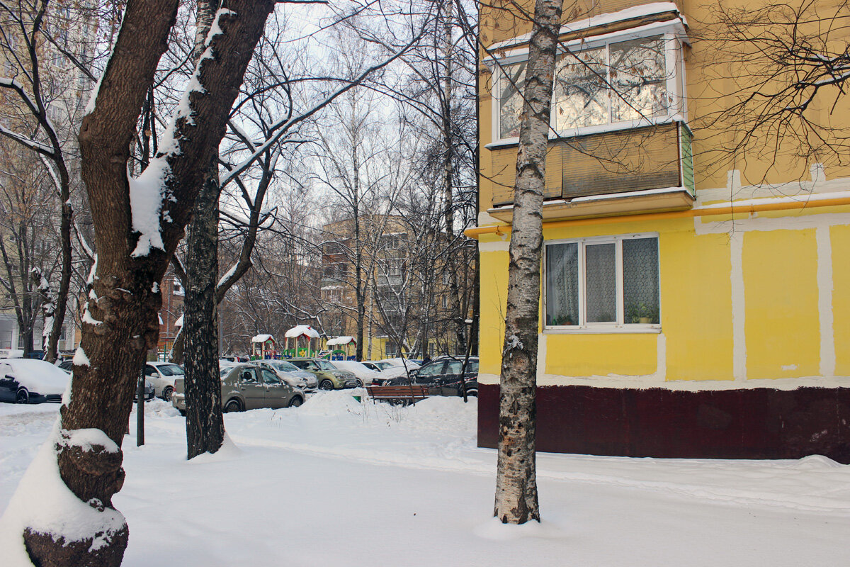 Все современные фотографии в статье - мои.