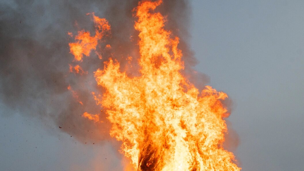    Фото: © Ilya Moskovets/URA.RU/Globallookpress