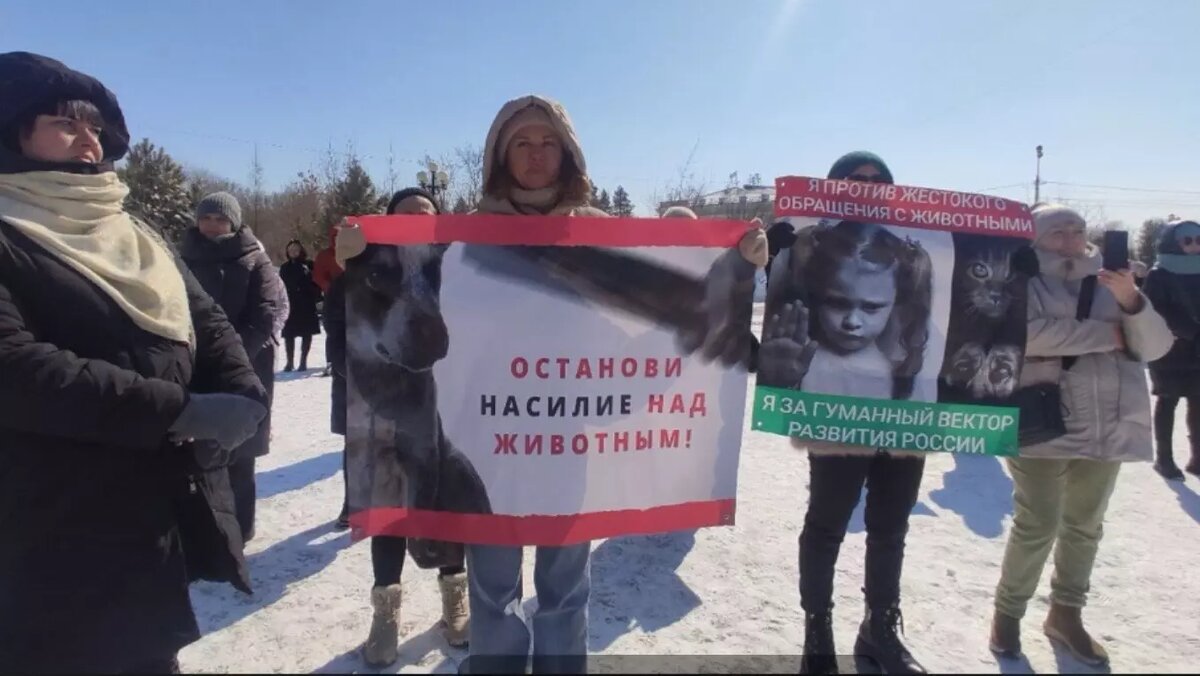 «Если мы продолжим уничтожать этих собак, то люди не перестанут избавляться от них, выбрасывая на улицу!» — говорились митинге в Хабаровске. Источник: 1MI
