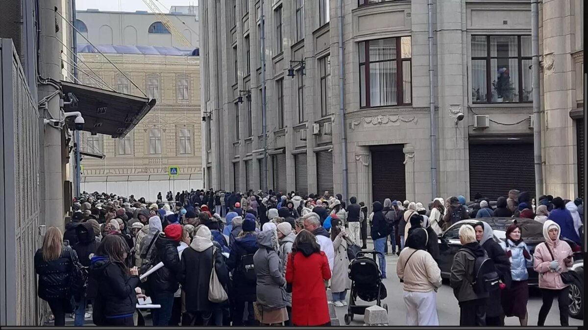 В Москве защитники собак обратились в Администрацию президента. Фото: 1MI